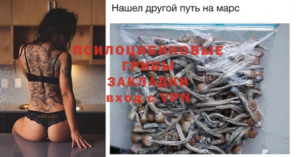 дмт Лагань