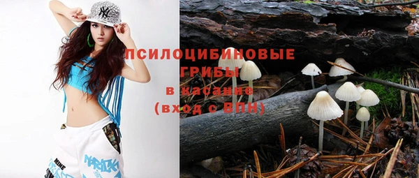 прущие грибы Алзамай