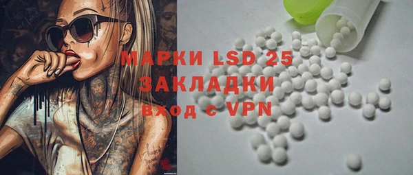 прущие грибы Алзамай