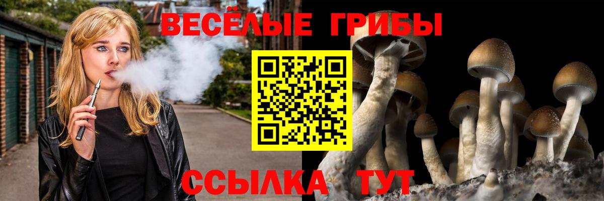 Галлюциногенные грибы ЛСД  Псилоцибиновые грибы MAGIC MUSHROOMS  Вход с VPN  Лесной 